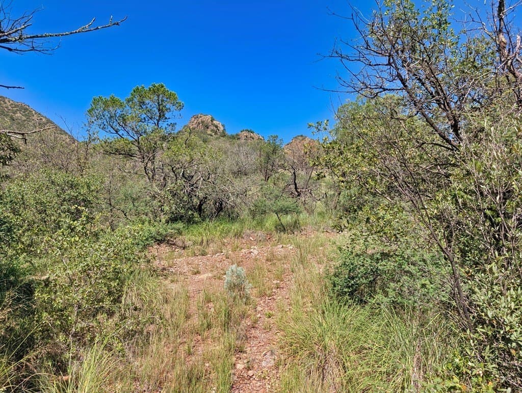 10.5 acres in Jeff Davis County - photo 8