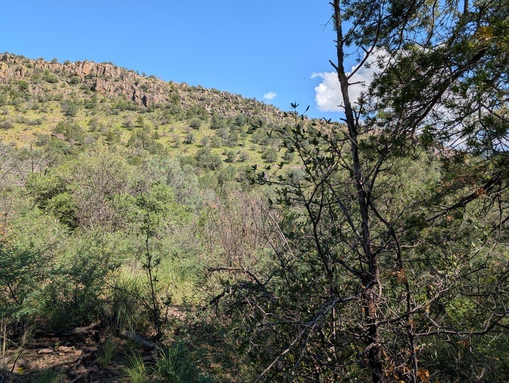 10.5 acres in Jeff Davis County - photo 7
