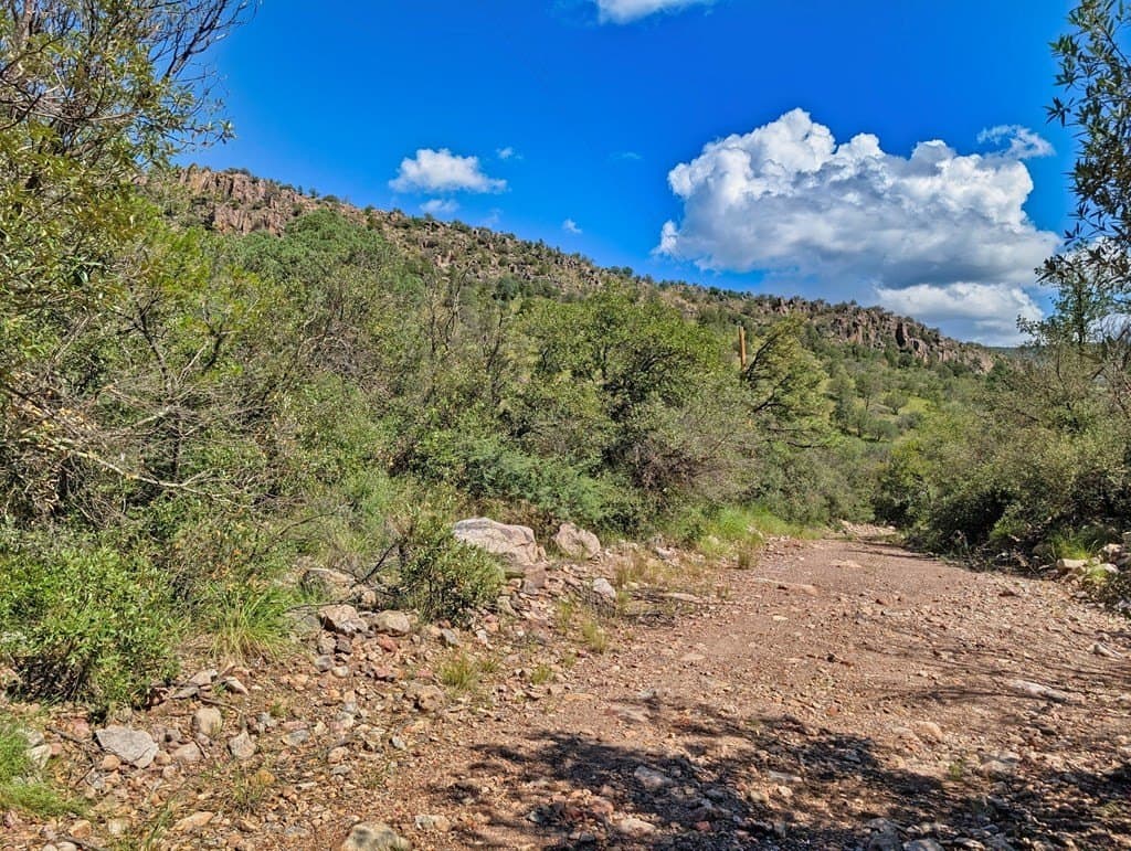 10.5 acres in Jeff Davis County - photo 20
