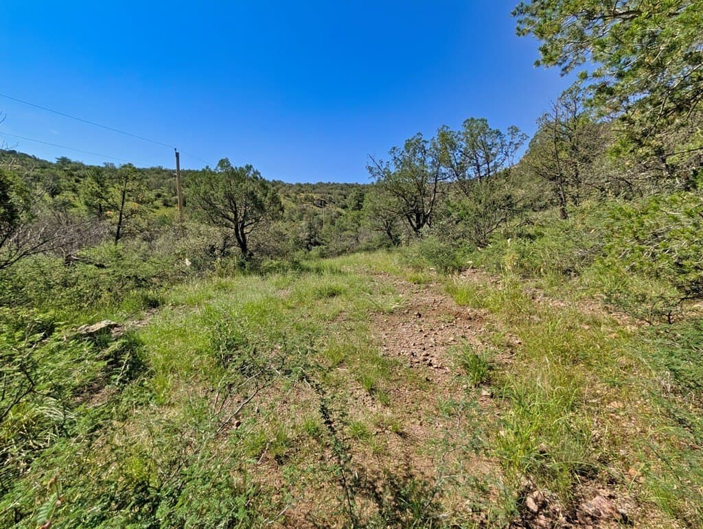 10.5 acres in Jeff Davis County - photo 3