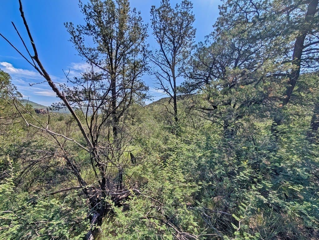 10.5 acres in Jeff Davis County - photo 11