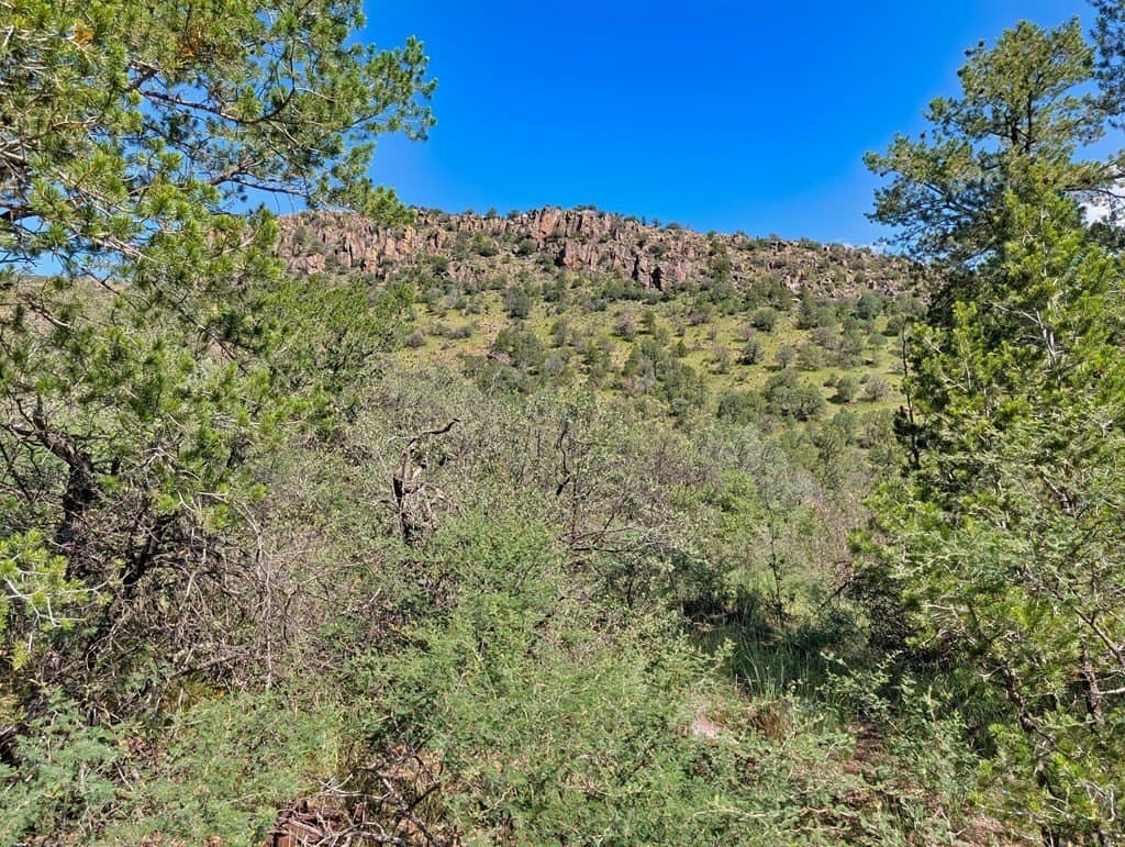 10.5 acres in Jeff Davis County - photo 10