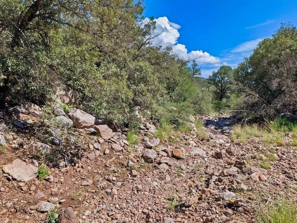 10.5 acres in Jeff Davis County - photo 23