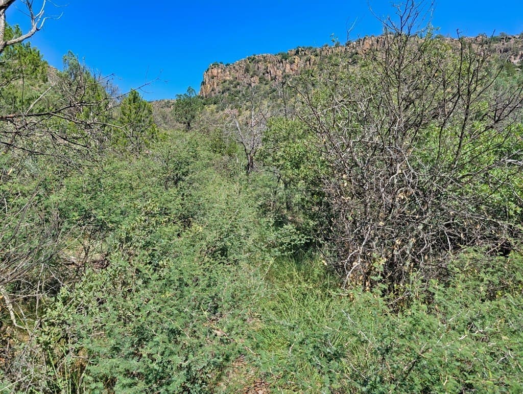 10.5 acres in Jeff Davis County - photo 15