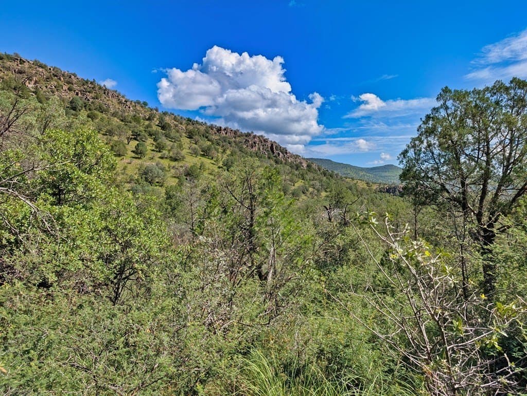 10.5 acres in Jeff Davis County - photo 14