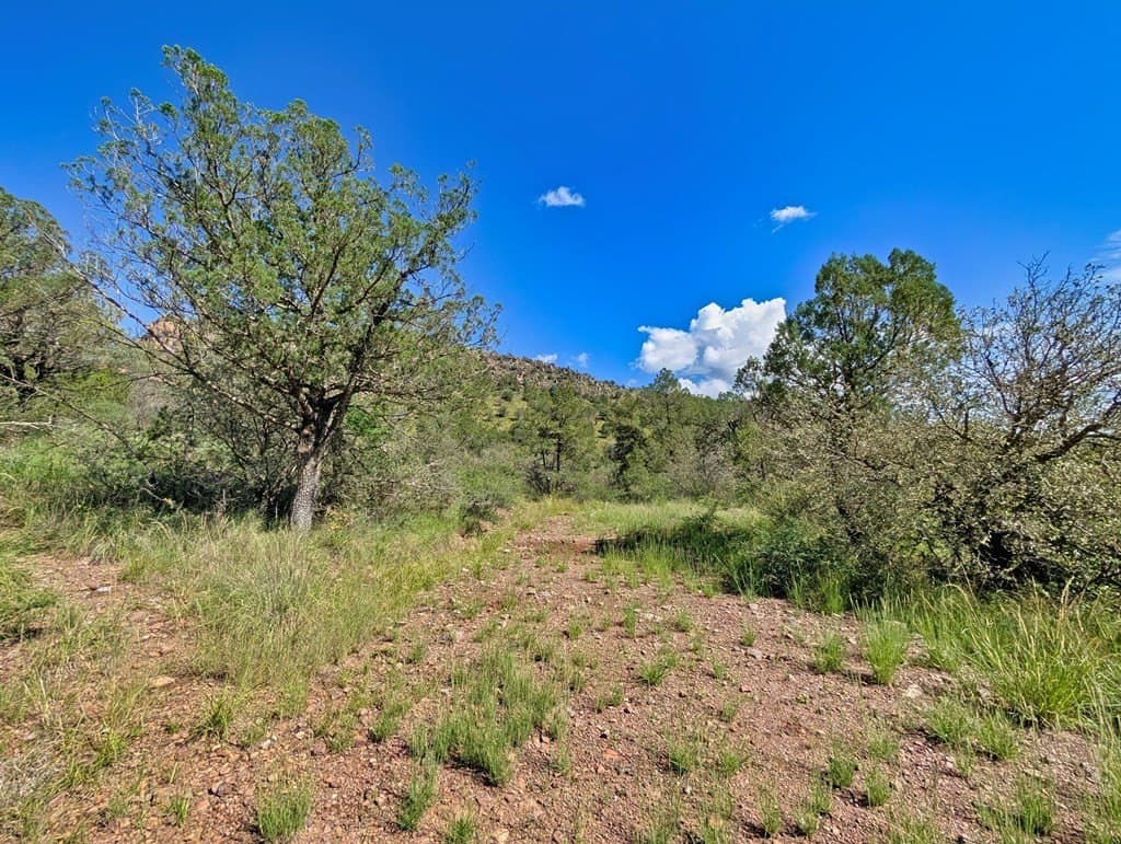 10.5 acres in Jeff Davis County - photo 9