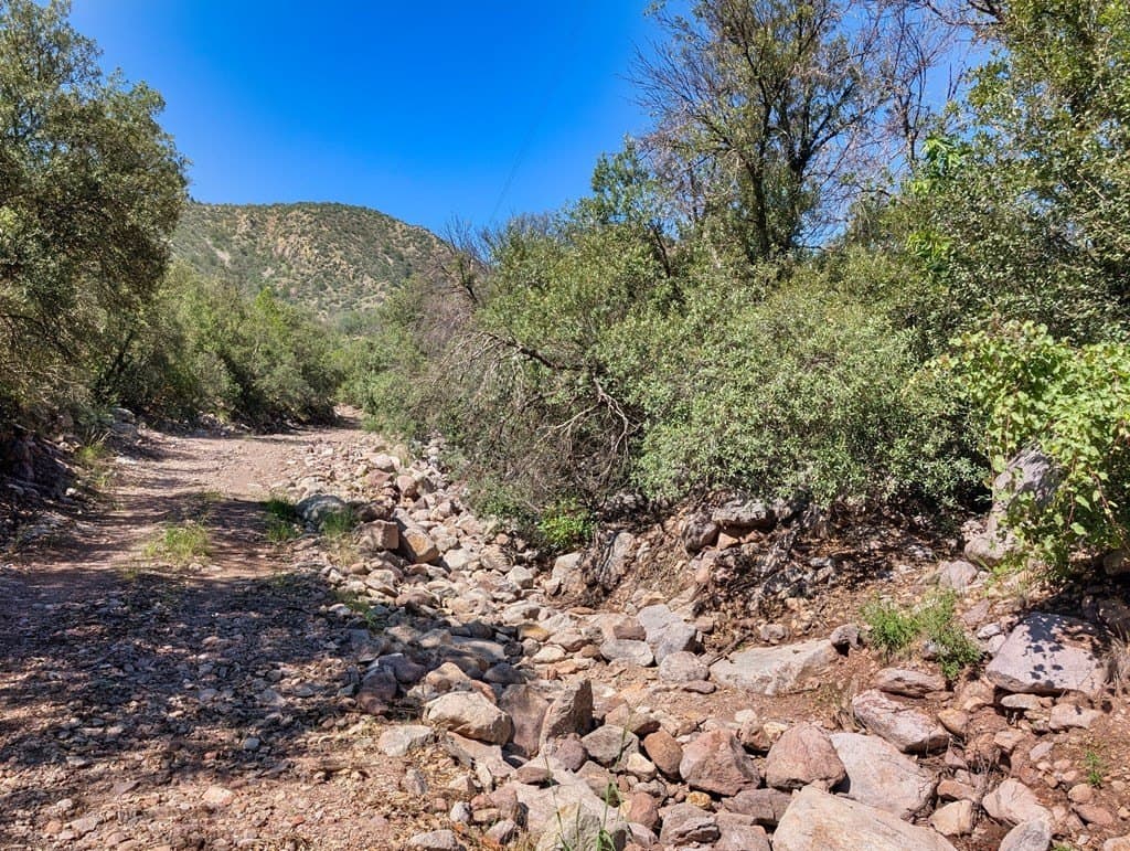 10.5 acres in Jeff Davis County - photo 22