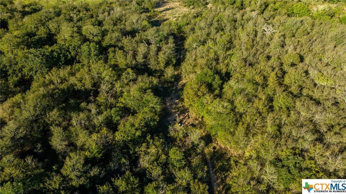 17.49 acres in Caldwell County - photo 13