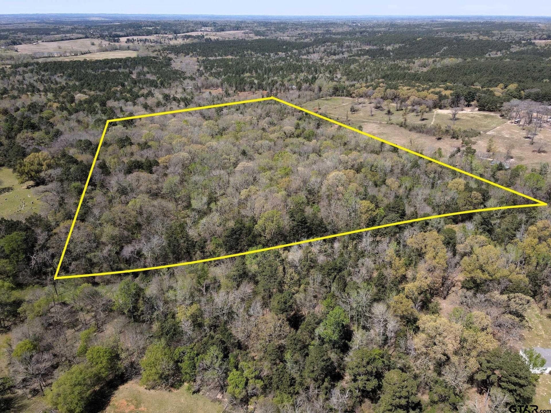 22.6 acres in Cherokee County - photo 3