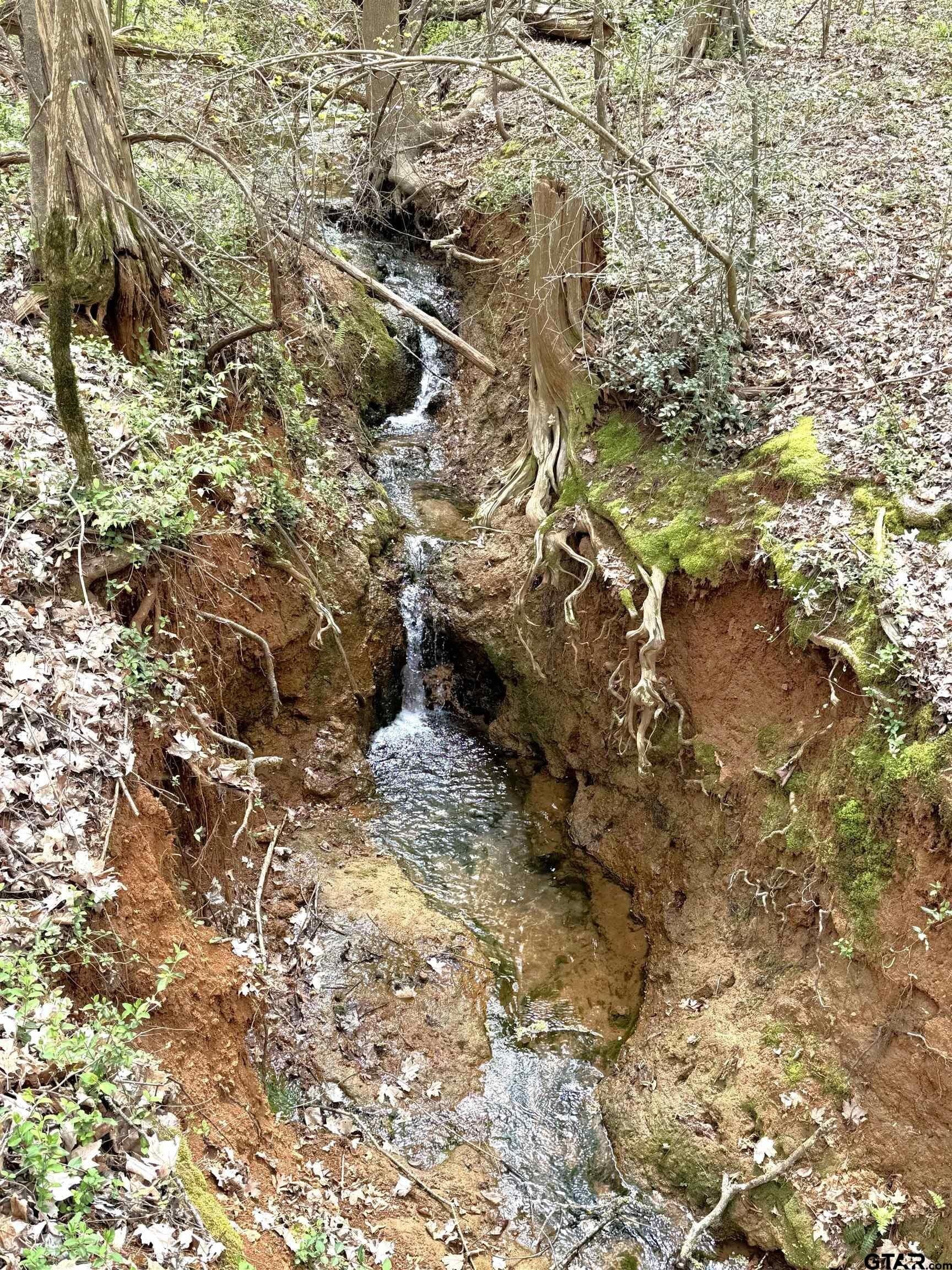 22.6 acres in Cherokee County - photo 5
