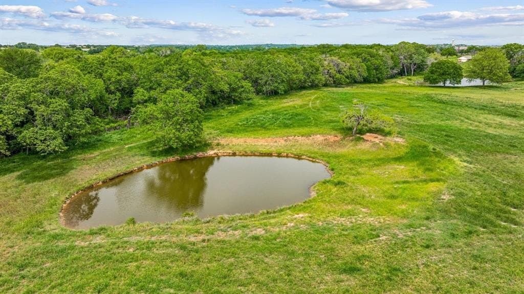 15.92 acres in Parker County - photo 6