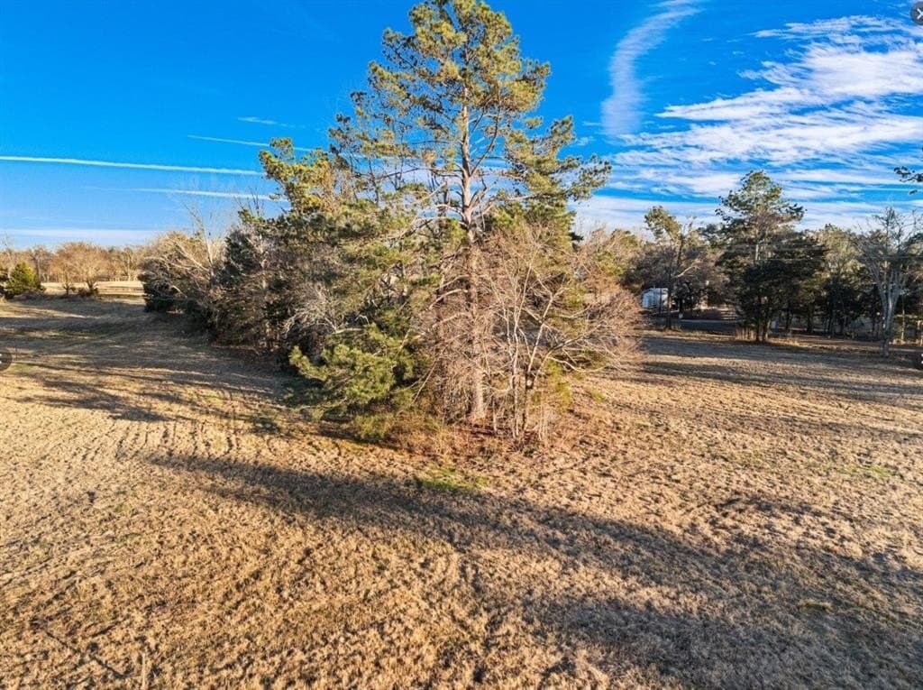 4 acres in Smith County - photo 10