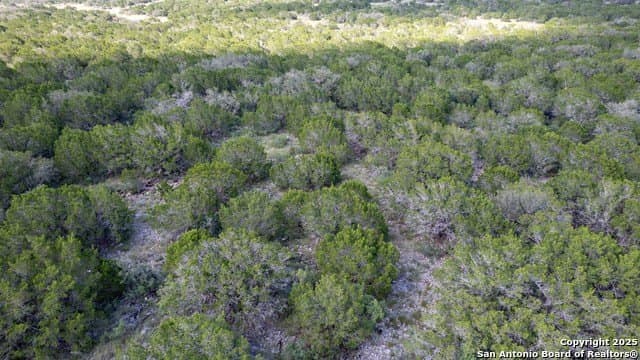 27.73 acres in Kinney County - photo 36