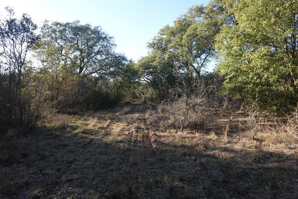84 acres in Comanche County - photo 12
