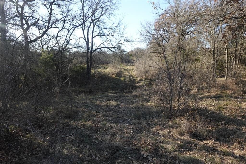 84 acres in Comanche County - photo 9