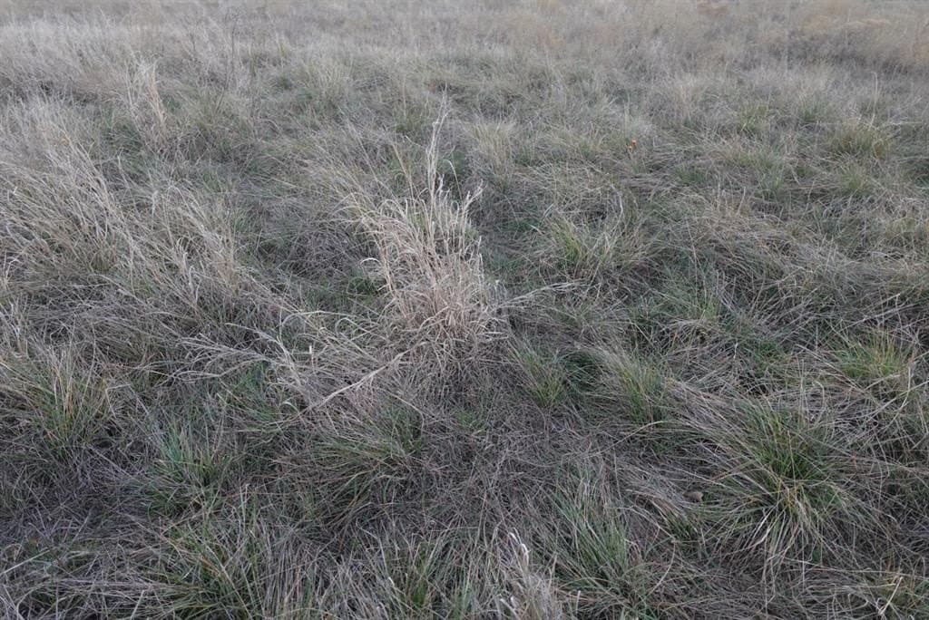84 acres in Comanche County - photo 26