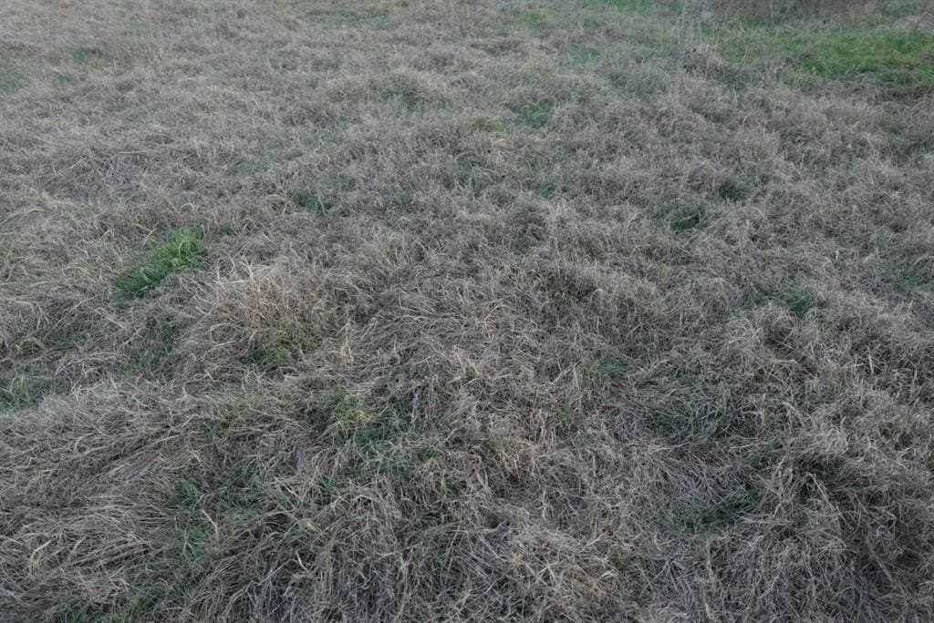 84 acres in Comanche County - photo 24