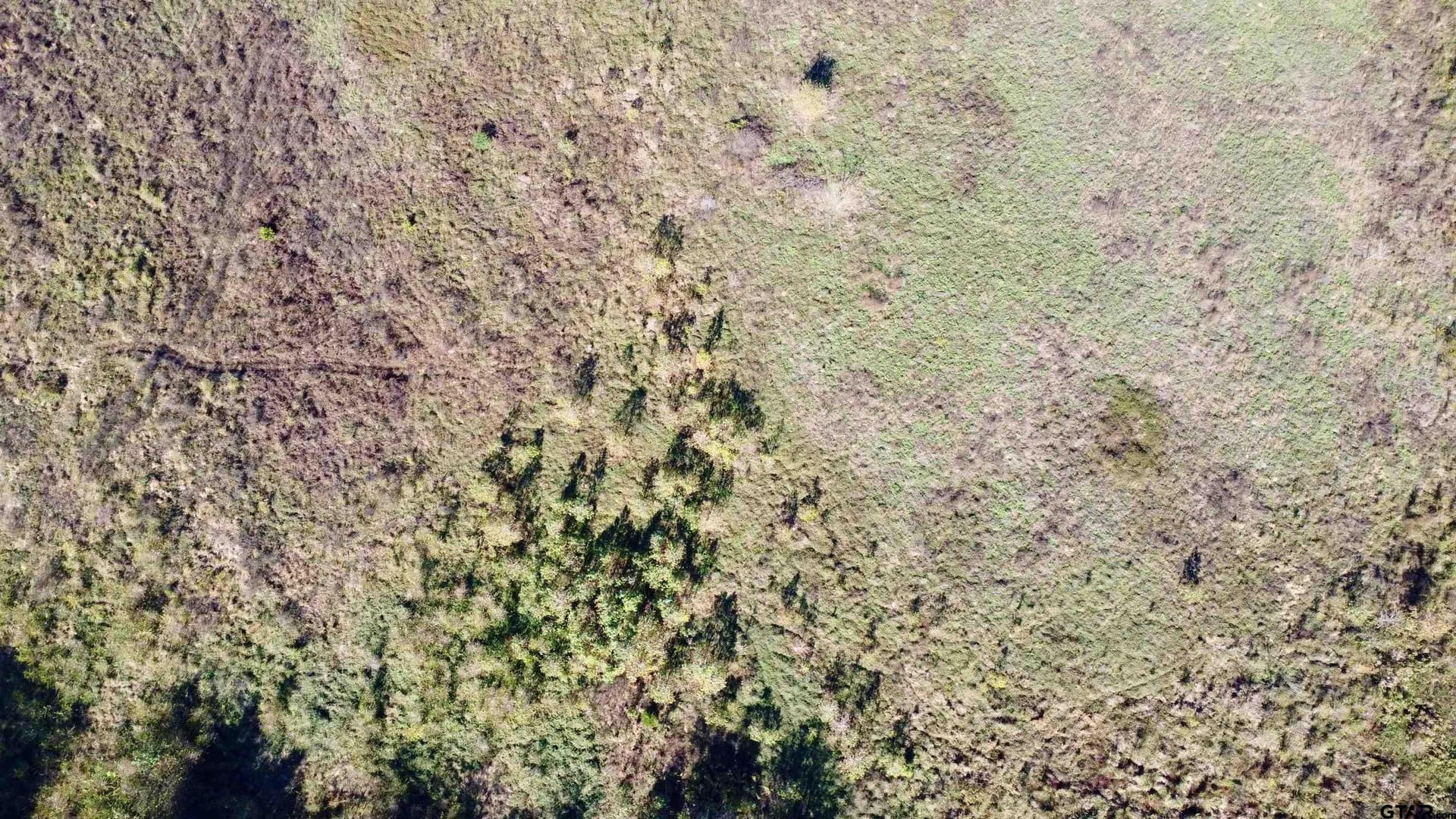 15.8 acres in Titus County - photo 2