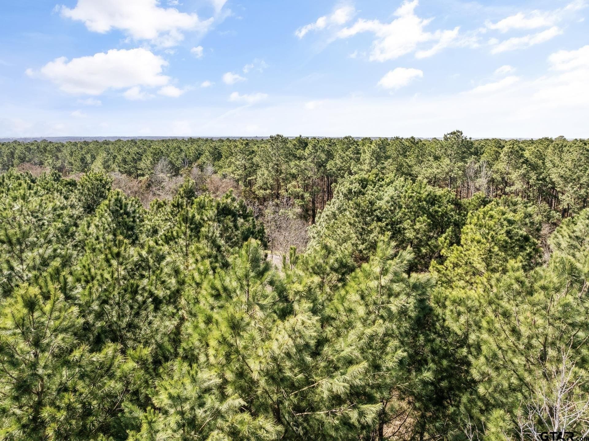 2.37 acres in Camp County - photo 3