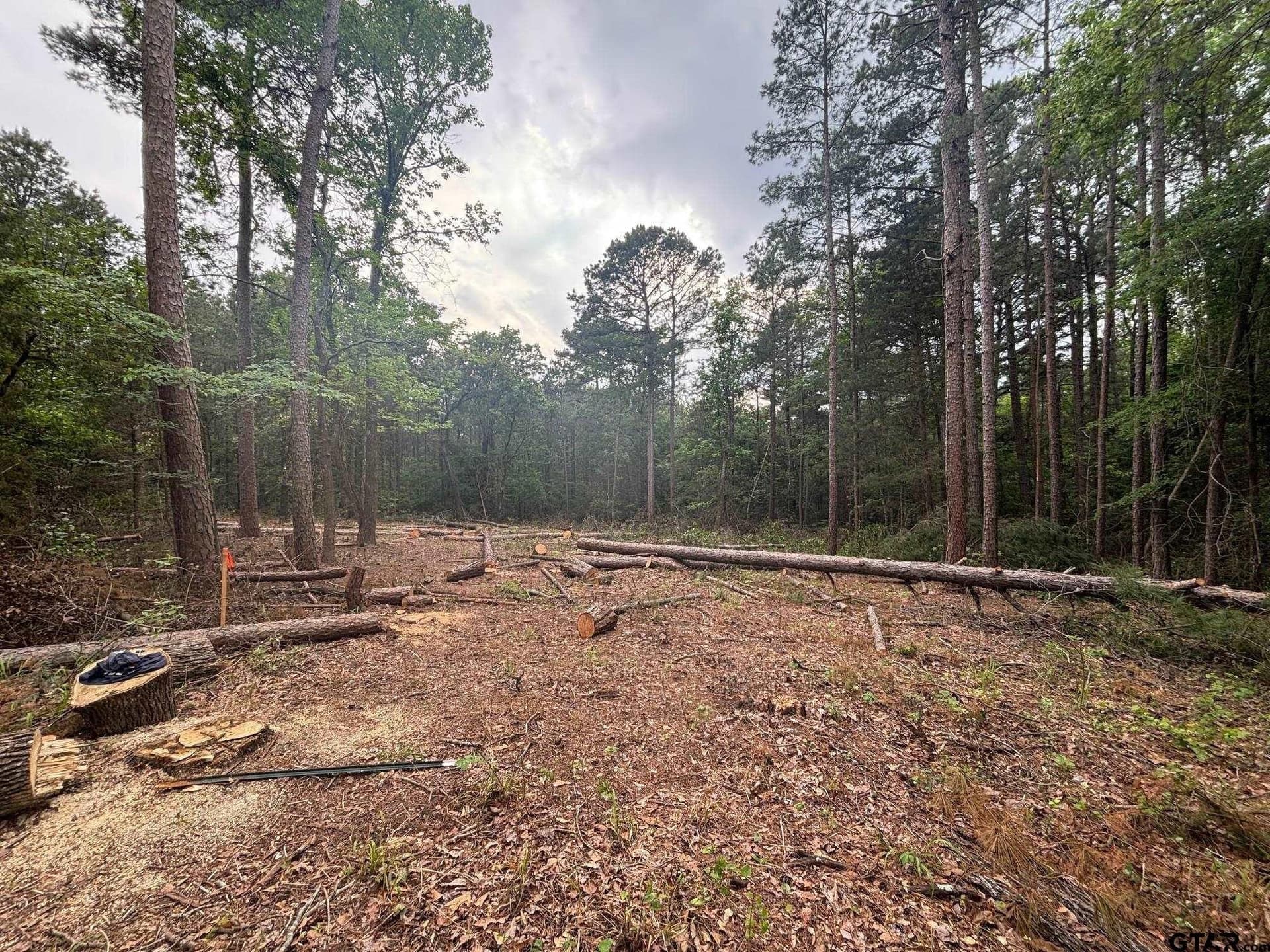 TBD ZINNIA RD