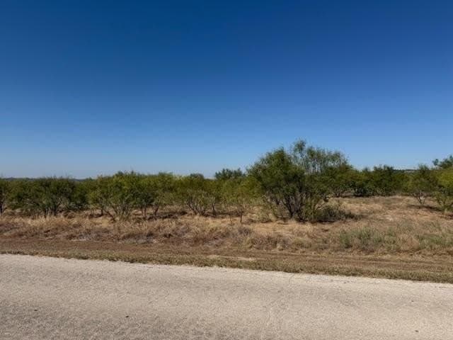 5.03 acres in Palo Pinto County - photo 2
