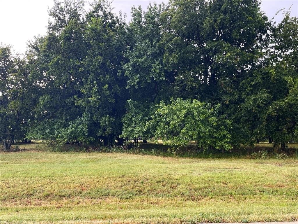 0.14 acres in Grayson County - photo 2