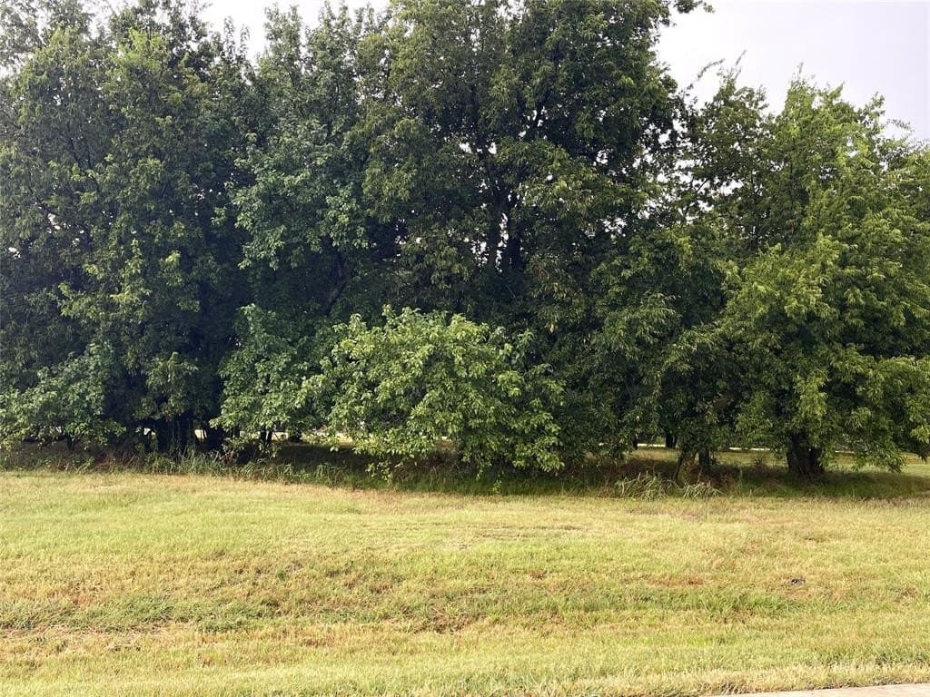 0.14 acres in Grayson County - photo 3