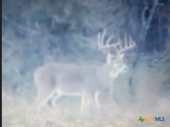 347.01 acres in Bell County - photo 13