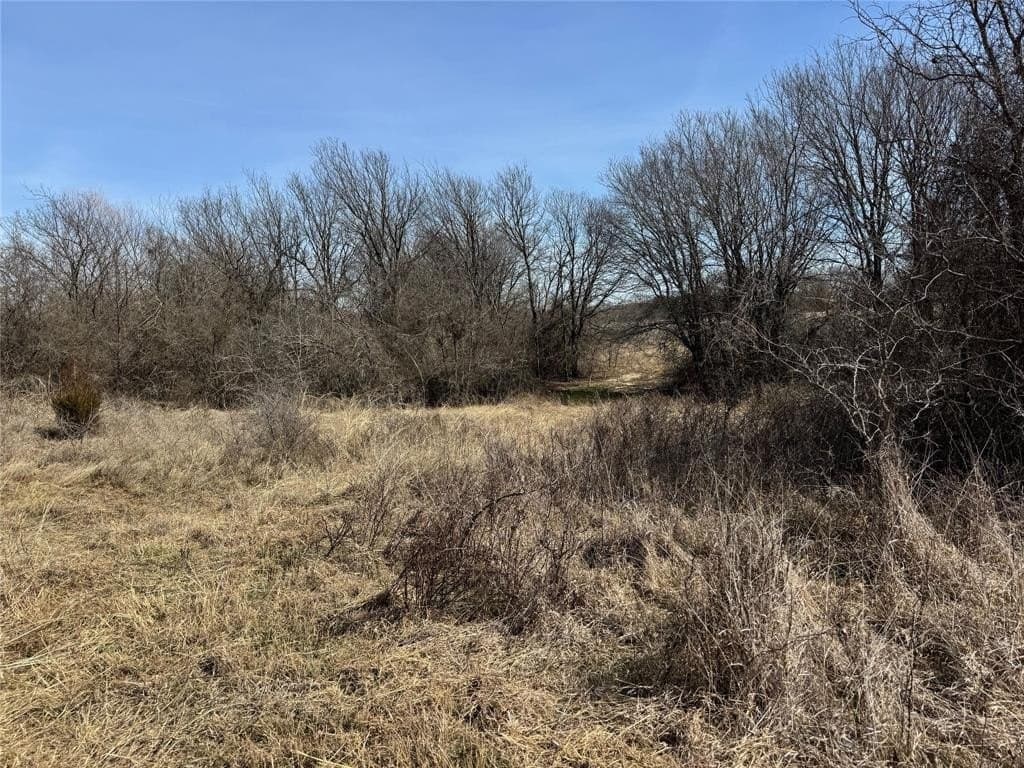 2.52 acres in Wise County - photo 11