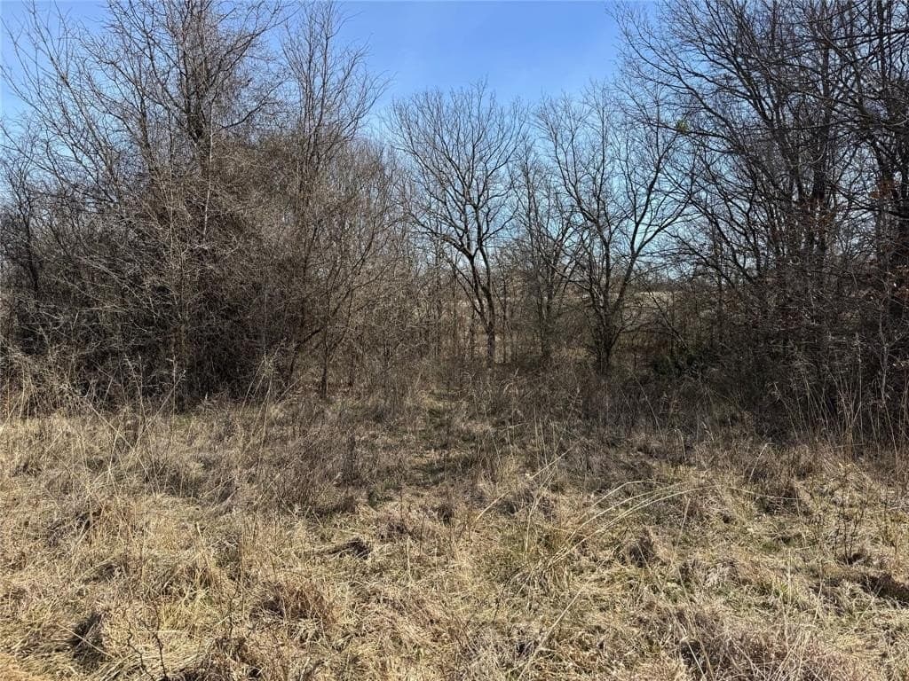 2.52 acres in Wise County - photo 12