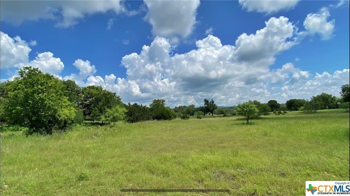 2.38 acres in Blanco County - photo 4