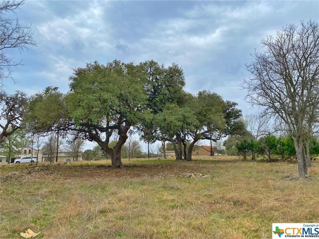 2.38 acres in Blanco County - photo 6