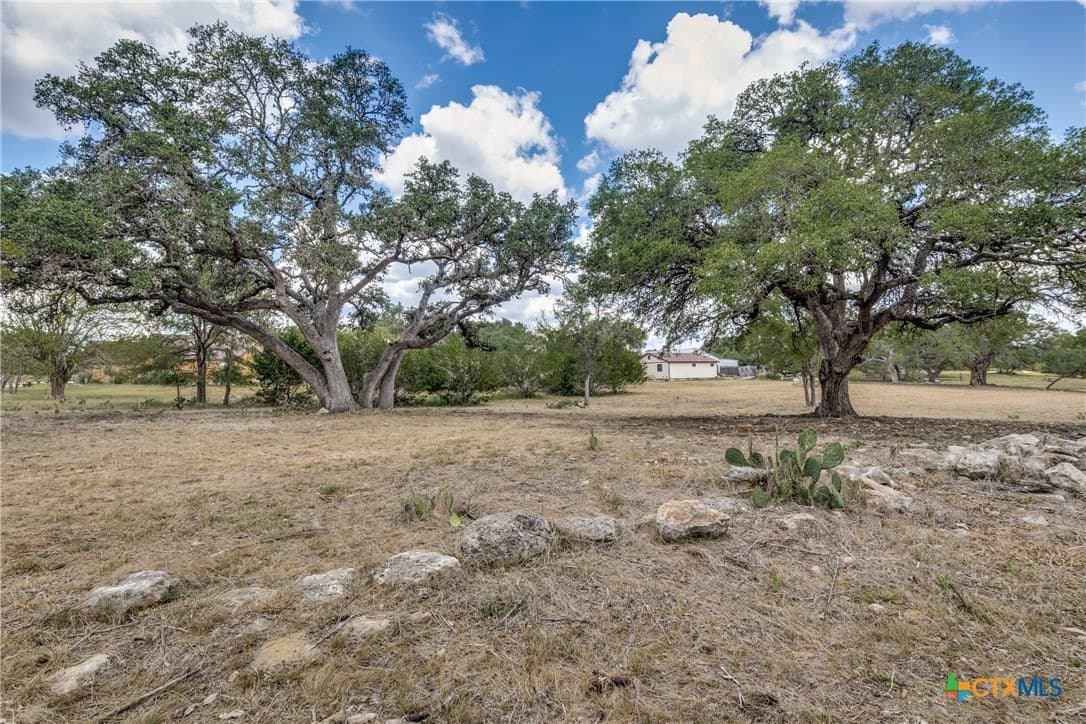 2.38 acres in Blanco County - photo 7