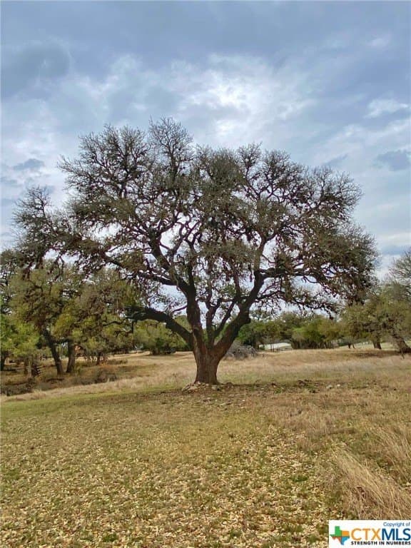 2.38 acres in Blanco County - photo 8