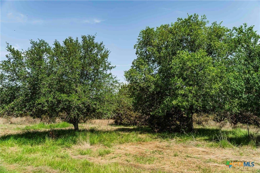 10 acres in Burnet County - photo 4
