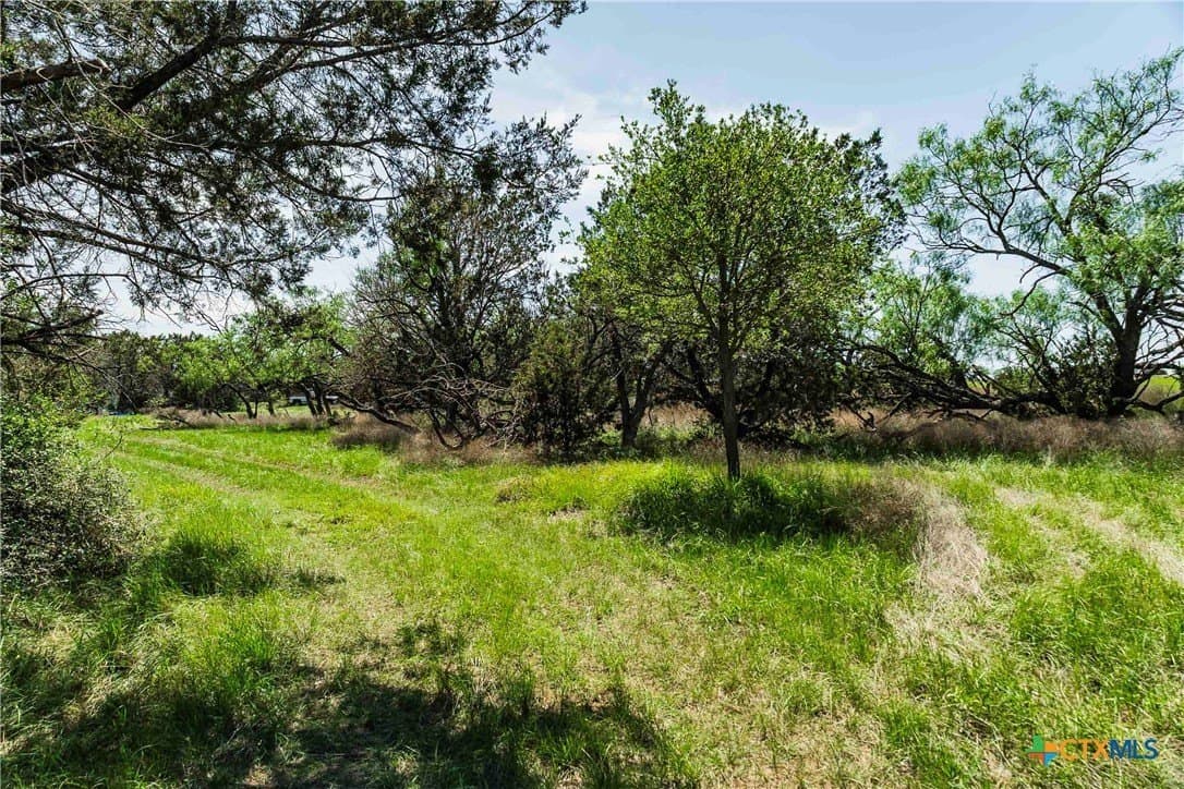10 acres in Burnet County - photo 5