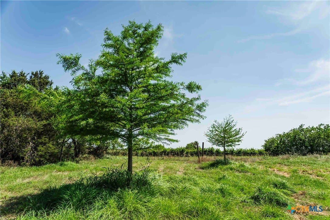 10 acres in Burnet County - photo 9