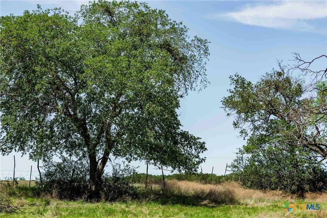 10 acres in Burnet County - photo 3