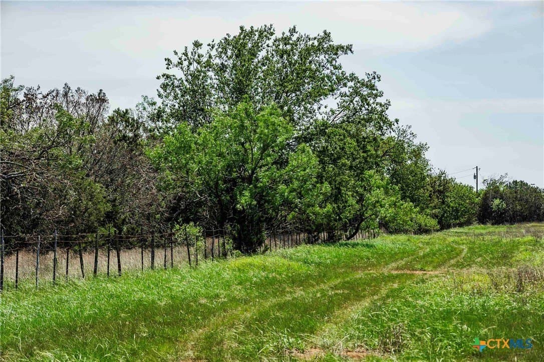 10 acres in Burnet County - photo 15