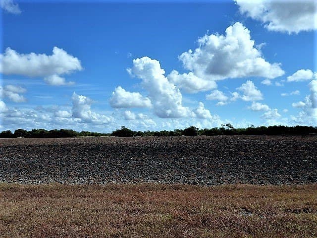 8.7 acres in San Patricio County - photo 14