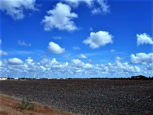 8.7 acres in San Patricio County - photo 27