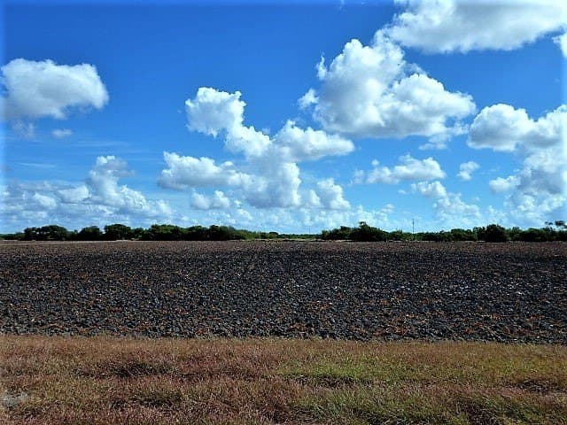 8.7 acres in San Patricio County - photo 15