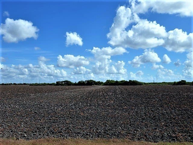 8.7 acres in San Patricio County - photo 17