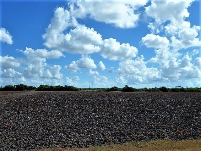 8.7 acres in San Patricio County - photo 19