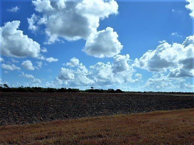 8.7 acres in San Patricio County - photo 6
