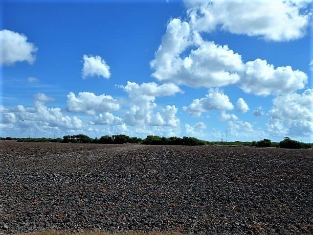 8.7 acres in San Patricio County - photo 18