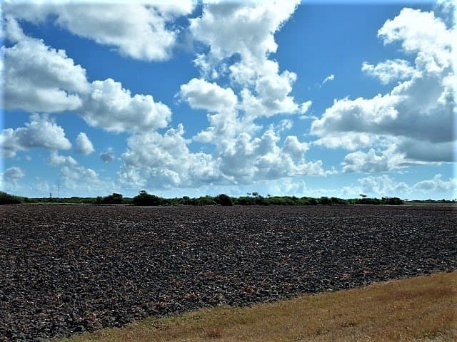 8.7 acres in San Patricio County - photo 21