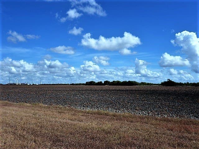 8.7 acres in San Patricio County - photo 12