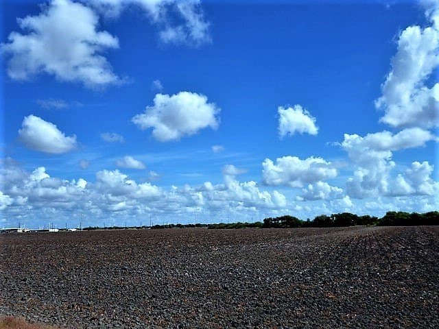 8.7 acres in San Patricio County - photo 28