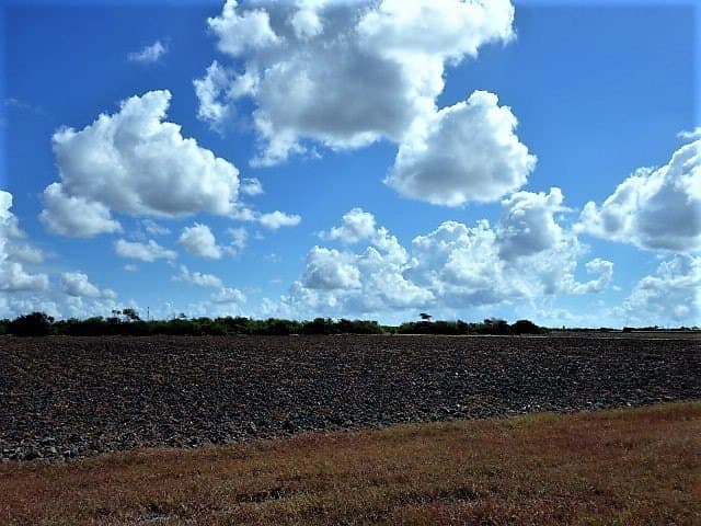 8.7 acres in San Patricio County - photo 5